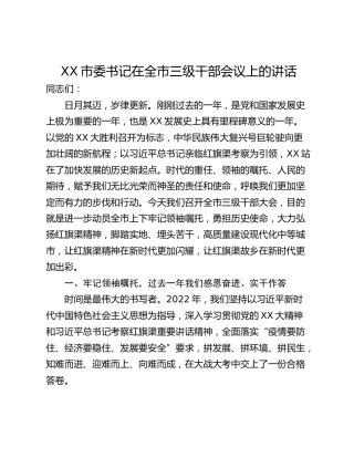 XX市委书记在全市三级干部会议上的讲话