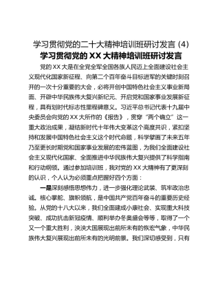 学习贯彻党的二十大精神培训班研讨发言 (4)