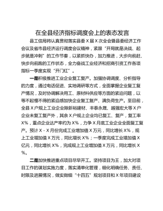在全县经济指标调度会上的表态发言
