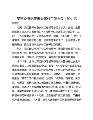 某市委书记在市委农村工作会议上的讲话