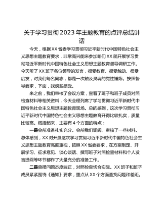 关于学习贯彻2023年主题教育的点评总结讲话_1