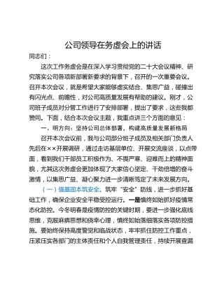 公司领导在务虚会上的讲话