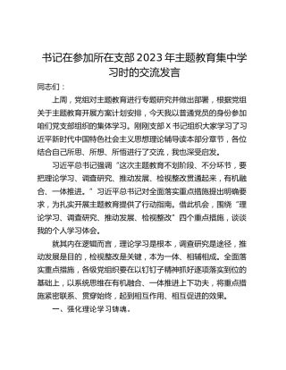 书记在参加所在支部2023年主题教育集中学习时的交流发言