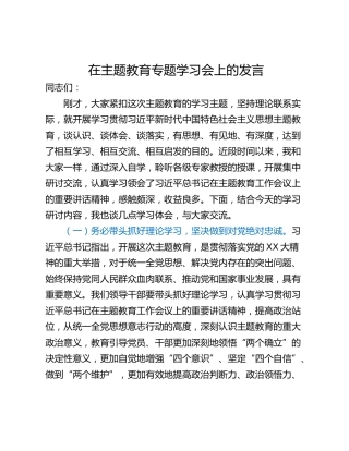 在主题教育专题学习会上的发言
