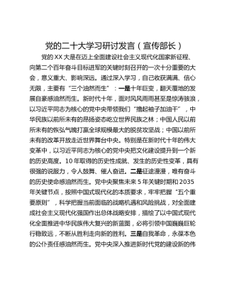 党的二十大学习研讨发言（宣传部长）