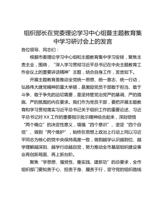 组织部长在党委理论学习中心组暨主题教育集中学习研讨会上的发言