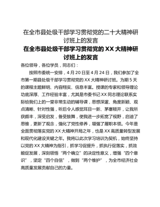 在全市县处级干部学习贯彻党的二十大精神研讨班上的发言