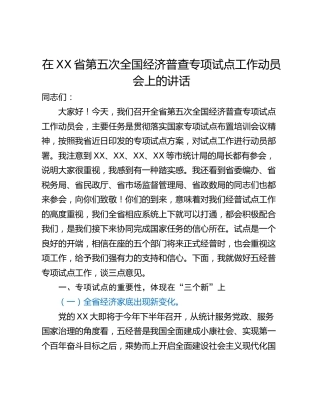 在XX省第五次全国经济普查专项试点工作动员会上的讲话