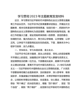 学习贯彻2023年主题教育发言材料