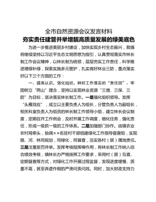 全市自然资源会议发言材料