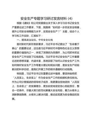 安全生产专题学习研讨发言材料 (4)