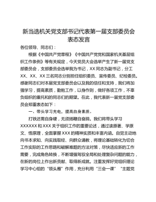新当选机关党支部书记代表第一届支部委员会表态发言