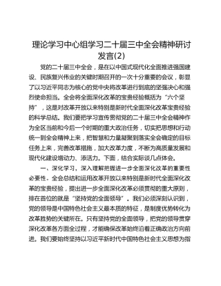理论学习中心组学习二十届三中全会精神研讨发言(2)