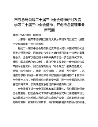 市应急局领导二十届三中全会精神研讨发言：学习二十届三中全会精神，开创应急管理事业新局面