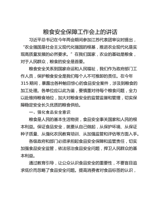 粮食安全保障工作会上的讲话