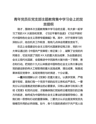 青年党员在党支部主题教育集中学习会上的发言提纲