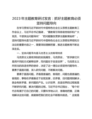2023年主题教育研讨发言：抓好主题教育必须坚持问题导向