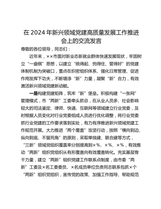 在2024年新兴领域党建高质量发展工作推进会上的交流发言