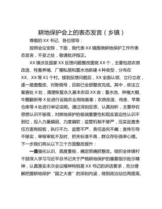 耕地保护会上的表态发言（乡镇）