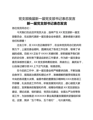党支部换届新一届党支部书记表态发言