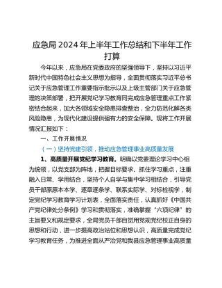 应急局2024年上半年工作总结和下半年工作打算