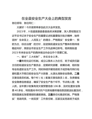 在全县安全生产大会上的典型发言