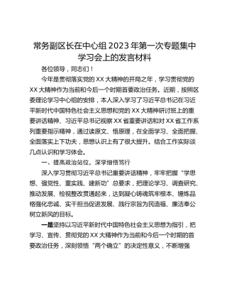 常务副区长在中心组2023年第一次专题集中学习会上的发言材料