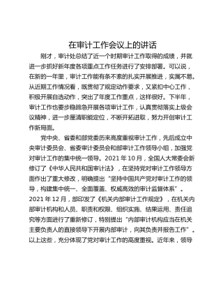 在审计工作会议上的讲话_1