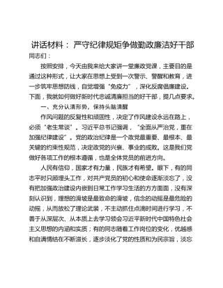 讲话材料： 严守纪律规矩争做勤政廉洁好干部