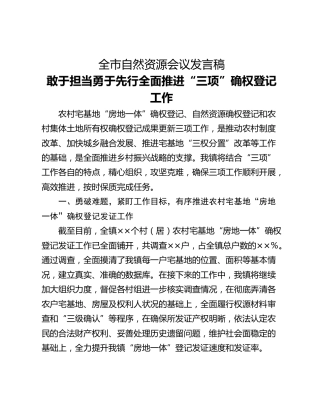 全市自然资源会议发言稿