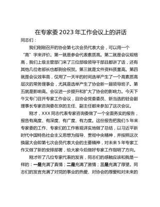 在专家委2023年工作会议上的讲话
