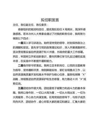 拟任职发言