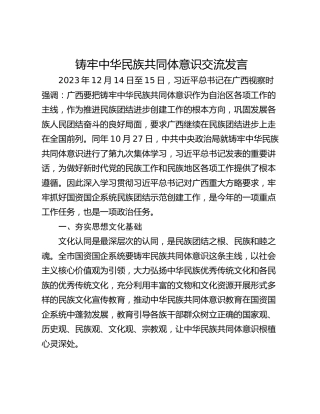 铸牢中华民族共同体意识交流发言