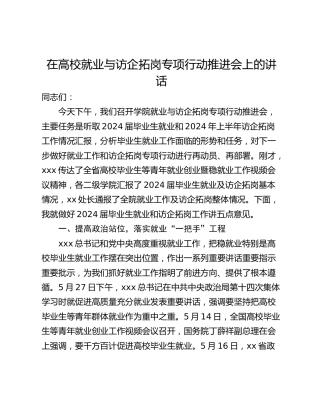 在高校就业与访企拓岗专项行动推进会上的讲话_1