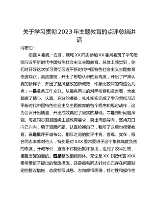 关于学习贯彻2023年主题教育的点评总结讲话_2
