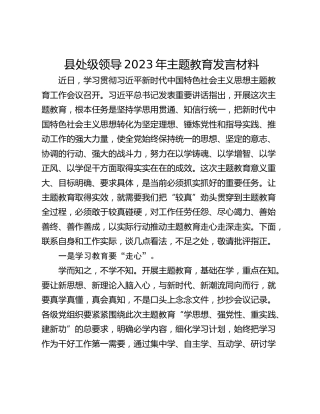 县处级领导2023年主题教育发言材料