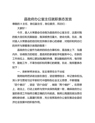 县政府办公室主任就职表态发言