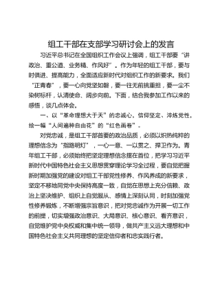 组工干部在支部学习研讨会上的发言