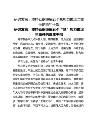 研讨发言：坚持砥砺锤炼五个味努力做堪当重任的青年干部