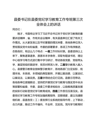 县委书记在县委党纪学习教育工作专班第三次全体会上的讲话