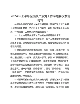 2024年上半年全面从严治党工作专题会议发言材料_1