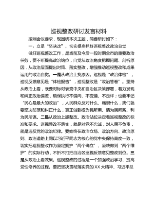 巡视整改研讨发言材料