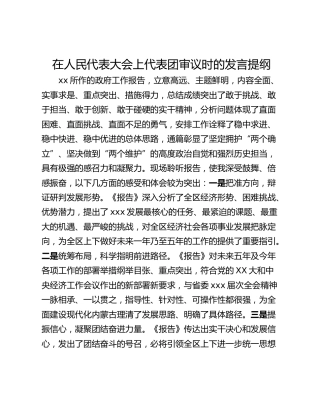 在人民代表大会上代表团审议时的发言提纲