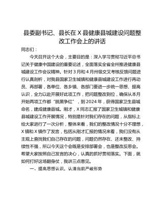县委副书记、县长在X县健康县城建设问题整改工作会上的讲话