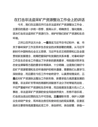 在打击非法盗采矿产资源整治工作会上的讲话_1