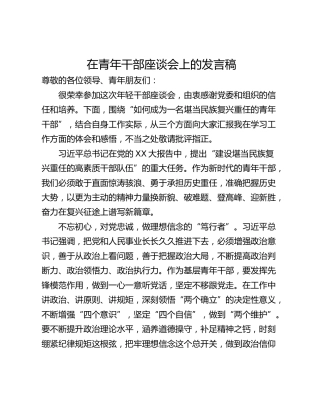 在青年干部座谈会上的发言稿