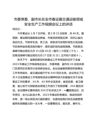 市委常委、副市长在全市春运暨交通运输领域安全生产工作视频会议上的讲话