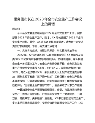 常务副市长在2023年全市安全生产工作会议上的讲话