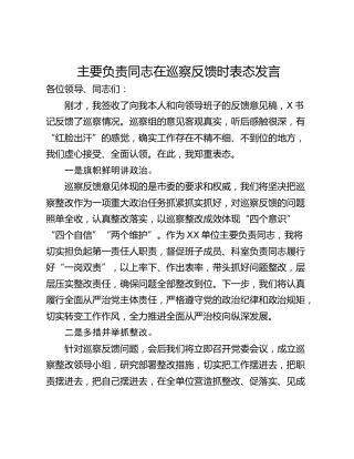 主要负责同志在巡察反馈时表态发言_1