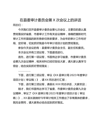 在县委审计委员会第X次会议上的讲话